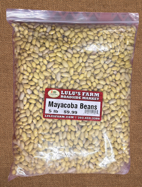 Mayacoba Beans